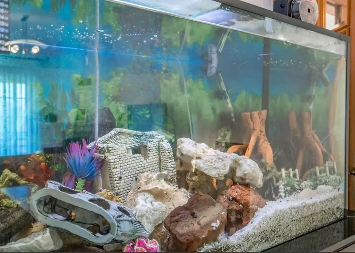 Enya Appartamento Mafra